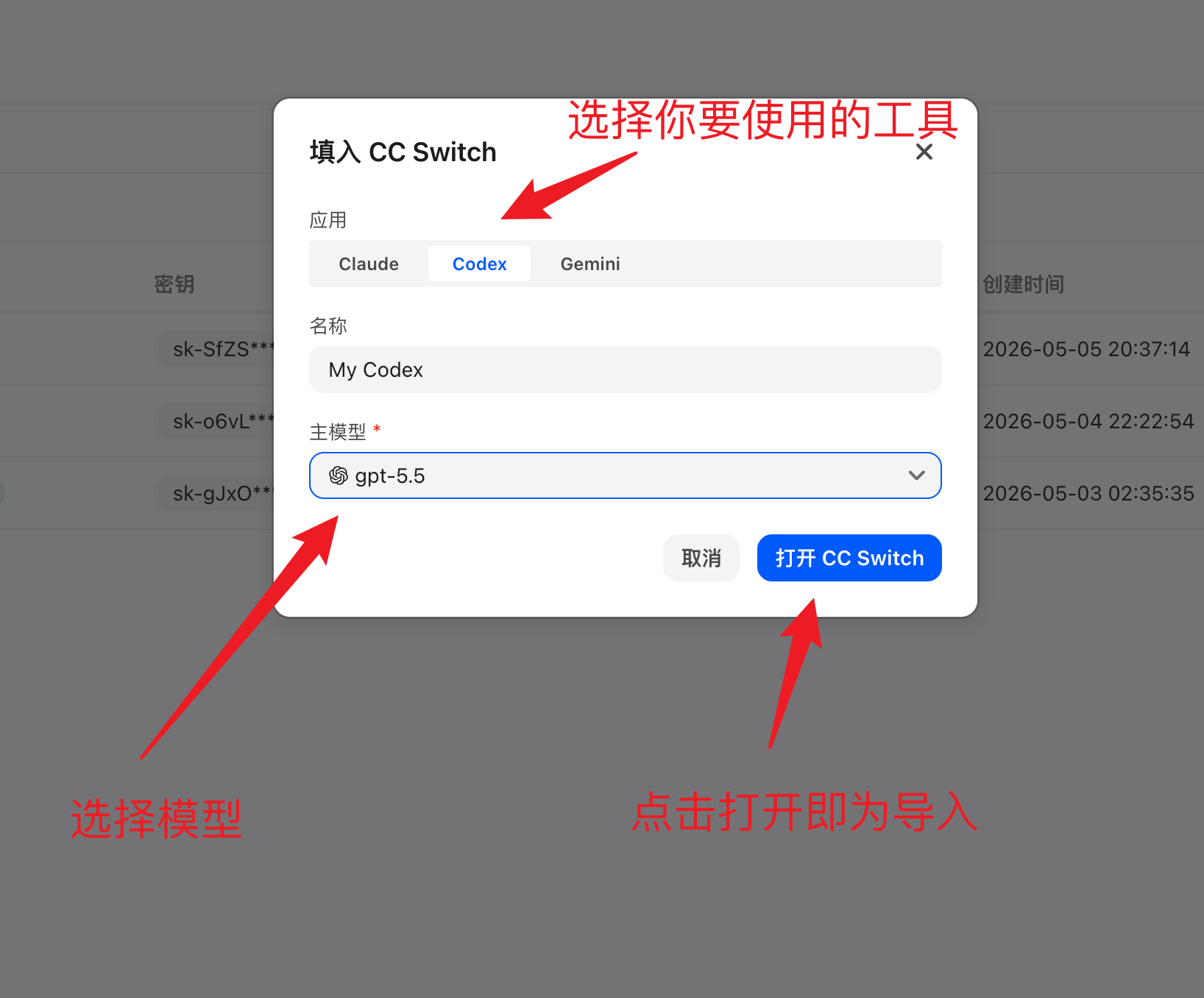 填入 CC Switch 弹窗
